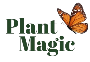 PlantMagic